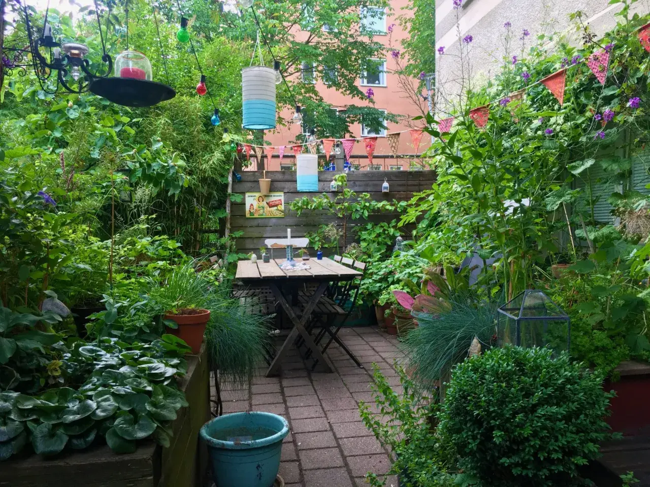 En lummig trädgård med ett bord och stolar. En kruka med hallon syns bland frodig grönska. Färggranna lyktor och girlanger skapar en mysig atmosfär.