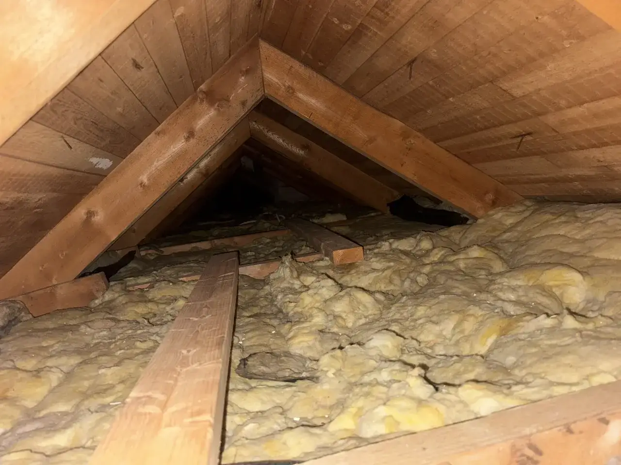 Takbj&auml;lkar och isolering i ett m&ouml;rkt utrymme, redo f&ouml;r att renovera vind.